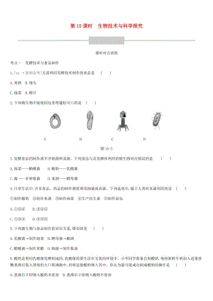 廣東省深圳市2019年中考生物 主題復習八 生物技術與科學探究 第15課時 生物技術與科學探究練習.doc