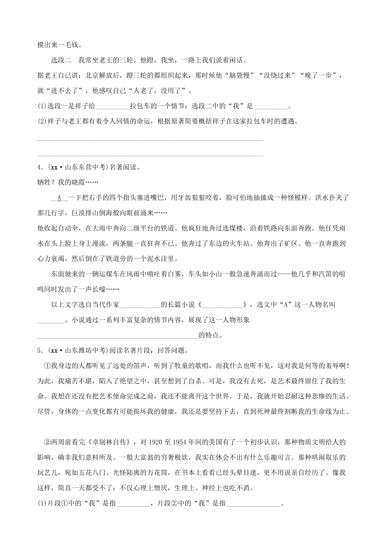 山东省滨州市2019年中考语文专题复习 专题九 名著阅读训练.doc_第2页