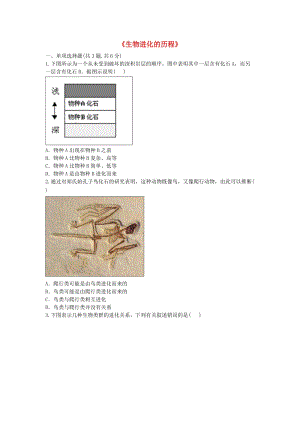 河南省永城市八年級(jí)生物下冊(cè) 7.3.2《生物進(jìn)化的歷程》拔高練習(xí)（新版）新人教版.doc