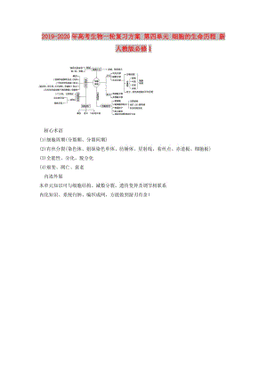 2019-2020年高考生物一輪復習方案 第四單元 細胞的生命歷程 新人教版必修1.doc