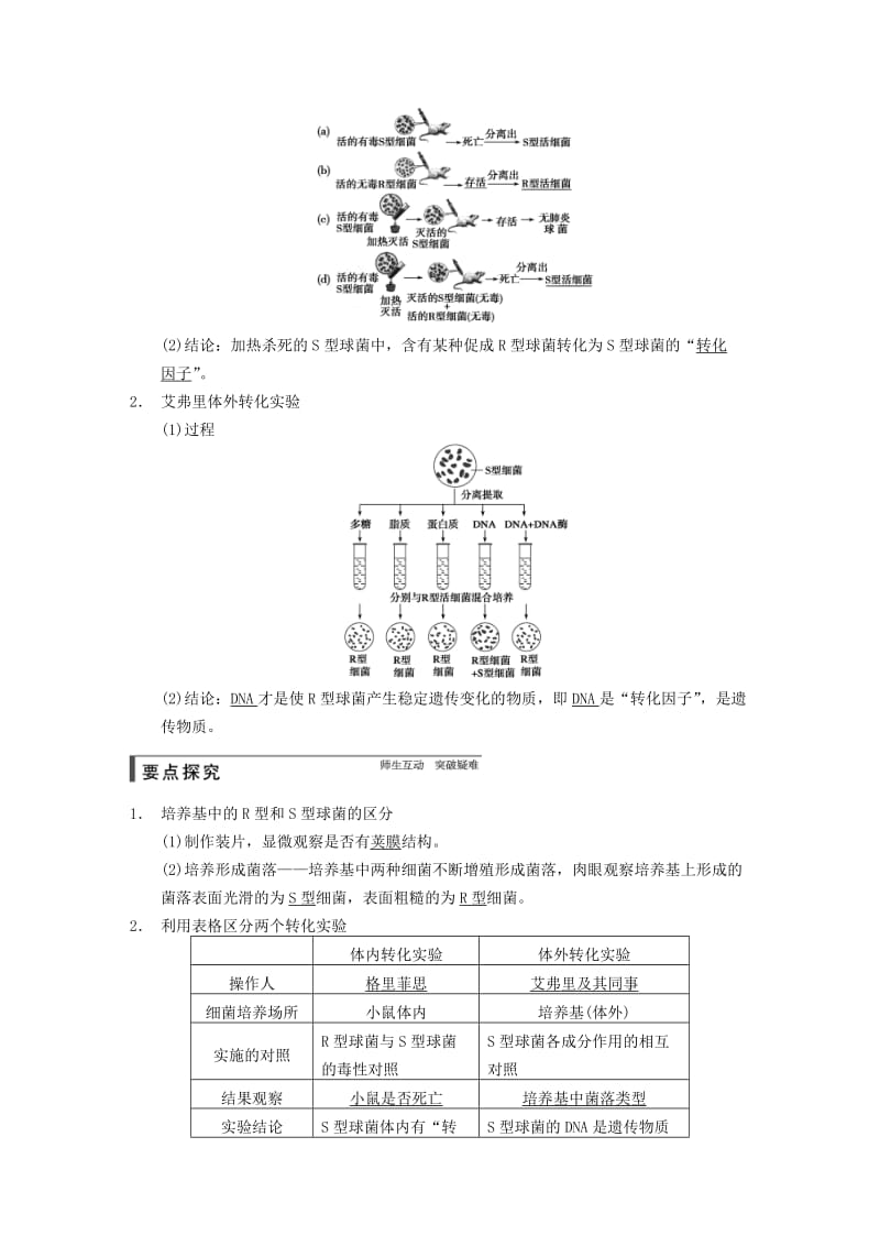 2019-2020年高考生物一轮复习第六单元第17讲探索遗传物质的过程教学案苏教版.DOC_第2页