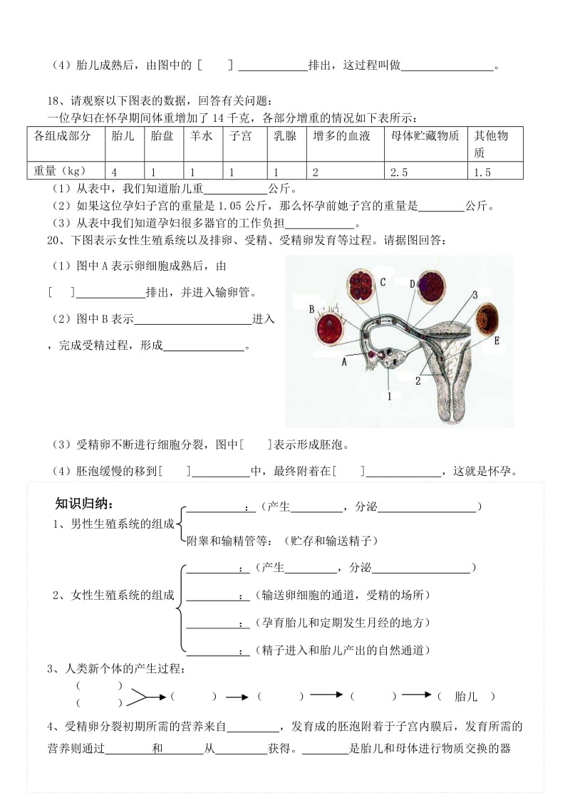 广东省中山市七年级生物下册 4.1.2《人的生殖》练习（新版）新人教版.doc_第2页