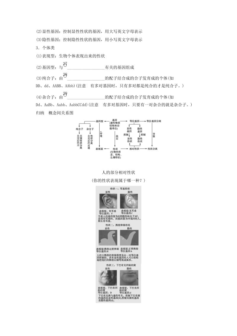 2019-2020年高考生物一轮复习方案 1-1 孟德尔的豌豆杂交实验（一） 新人教版必修2.doc_第3页