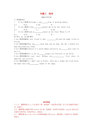 陜西省2019年中考英語總復習 專題八 冠詞（含8年中考）試題（含解析）.doc