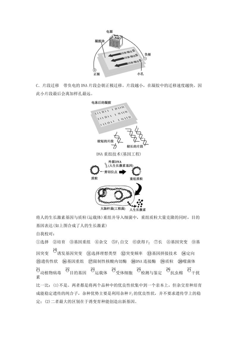 2019-2020年高考生物一轮复习方案 3-3 从杂交育种到基因工程 新人教版必修2.doc_第3页