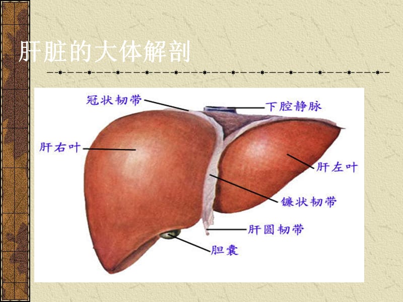 原发性肝细胞癌的CT和MRI诊断_第2页