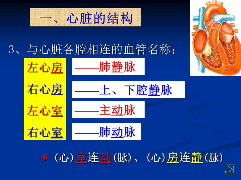 心脏疾病病人护理ppt课件_第3页