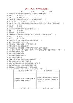 山東省濱州市2019年中考化學(xué)一輪復(fù)習(xí) 第十一單元 化學(xué)與社會(huì)發(fā)展練習(xí).doc