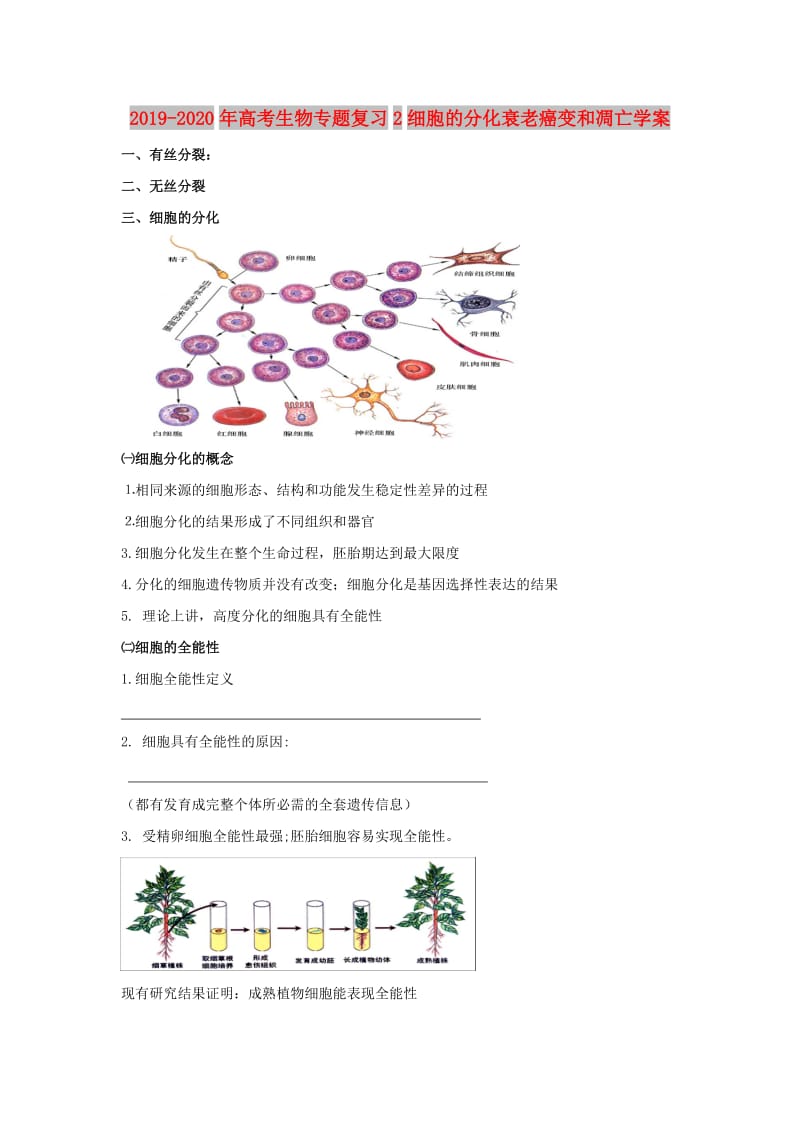 2019-2020年高考生物专题复习2细胞的分化衰老癌变和凋亡学案.doc_第1页