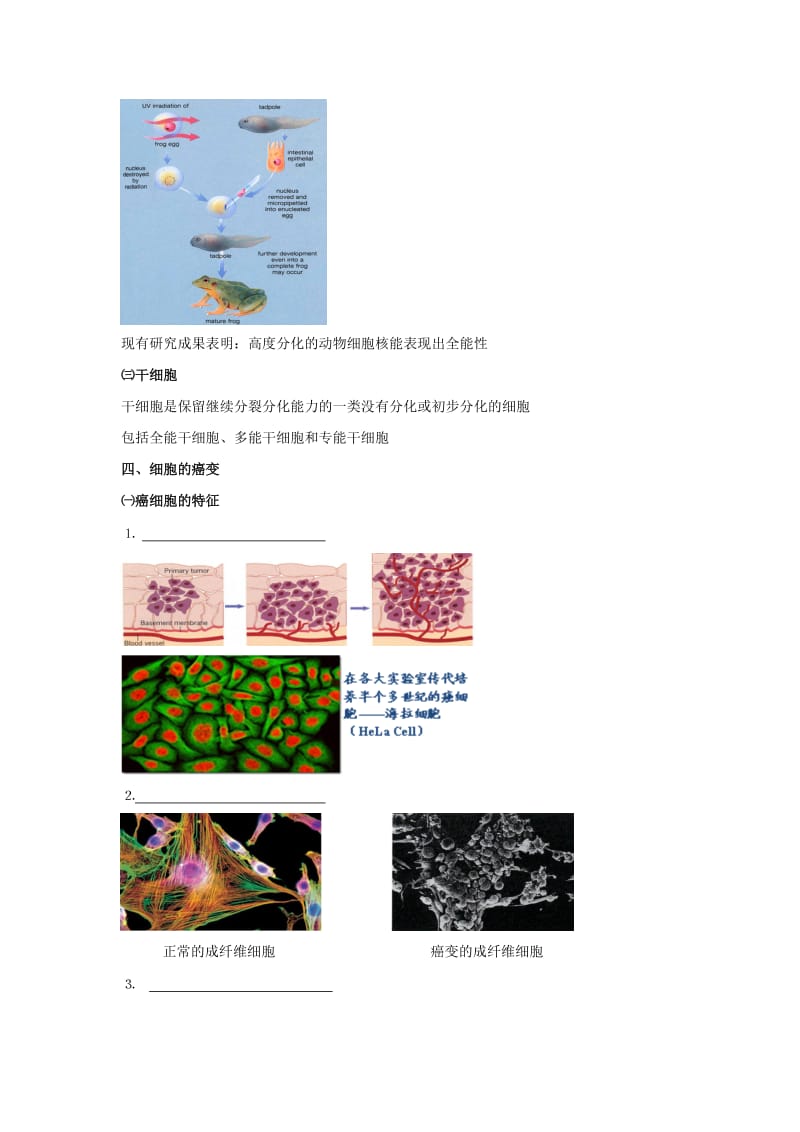 2019-2020年高考生物专题复习2细胞的分化衰老癌变和凋亡学案.doc_第2页