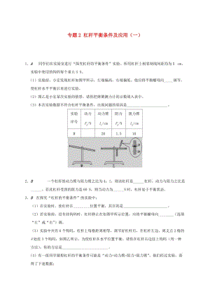 江蘇省大豐市九年級(jí)物理上冊(cè) 11.1 杠桿 專題2 杠桿平衡條件及應(yīng)用（一）課程講義 （新版）蘇科版.doc