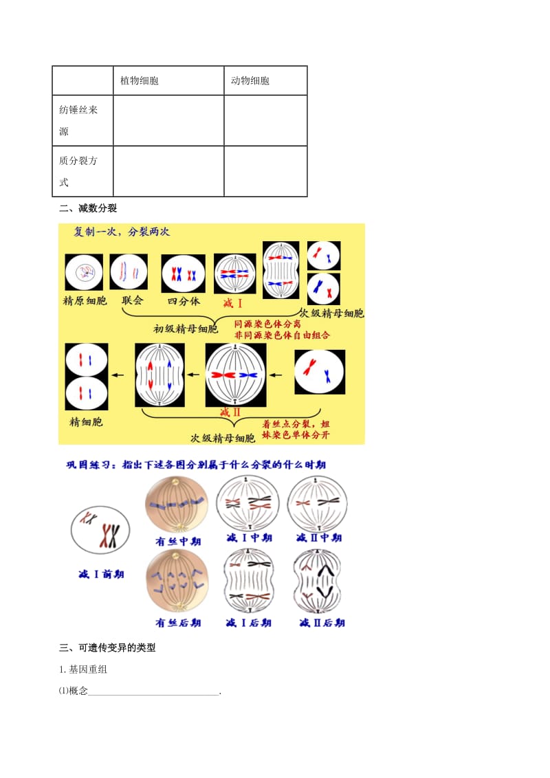 2019-2020年高考生物总复习专题突破第三讲细胞分裂和变异学案.doc_第2页