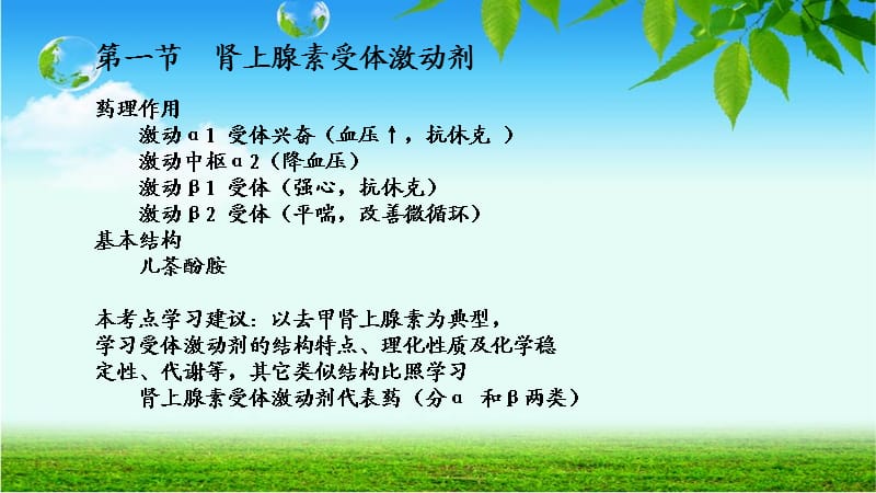 影响肾上腺素能神经系统药物_第2页