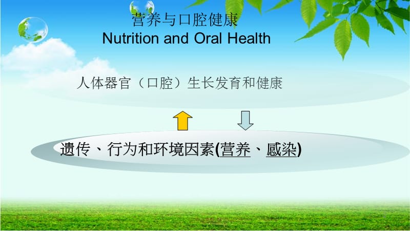 营养与口腔健康PPT课件_第2页