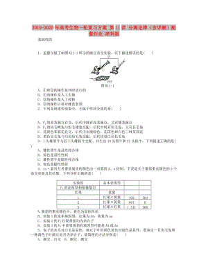 2019-2020年高考生物一輪復(fù)習(xí)方案 第11講 分離定律（含詳解）配套作業(yè) 浙科版.doc