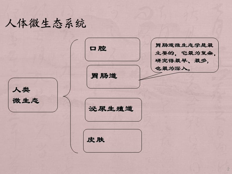 益生菌PPT课件_第2页