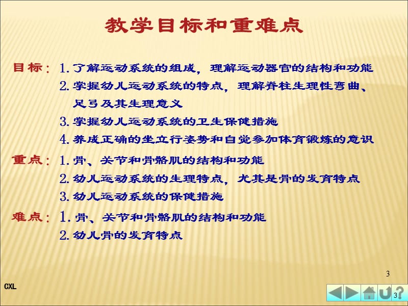 幼儿卫生保健运动系统PPT课件_第3页