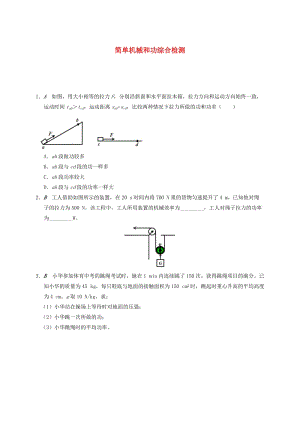 江蘇省大豐市九年級物理上冊 第11章 簡單機械和功綜合檢測課程講義 （新版）蘇科版.doc