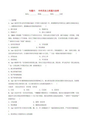 山東省泰安市2019年中考?xì)v史專題復(fù)習(xí) 專題六 中外歷史上的重大改革練習(xí).doc