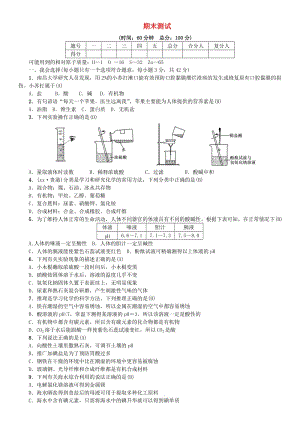 九年级化学下册 期末测试 （新版）鲁教版.doc