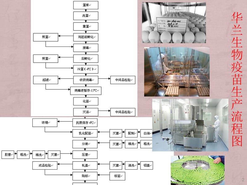 疫苗生产技术PPT课件_第2页