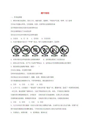 八年級(jí)道德與法治上冊(cè) 第二單元 遵守社會(huì)規(guī)則 第三課 社會(huì)生活離不開規(guī)則 第2框 遵守規(guī)則課時(shí)練習(xí) 新人教版.doc