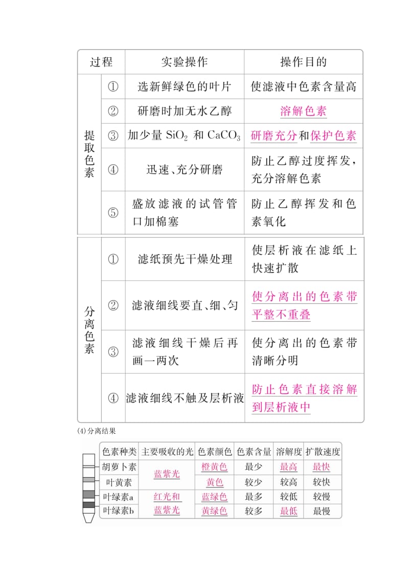 2019-2020年高考生物一轮复习第10讲光合作用的探究历程与基本过程培优学案.doc_第2页