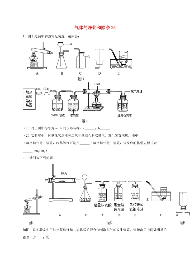 吉林省吉林市中考化学复习练习 气体的净化和除杂25 新人教版.doc_第1页