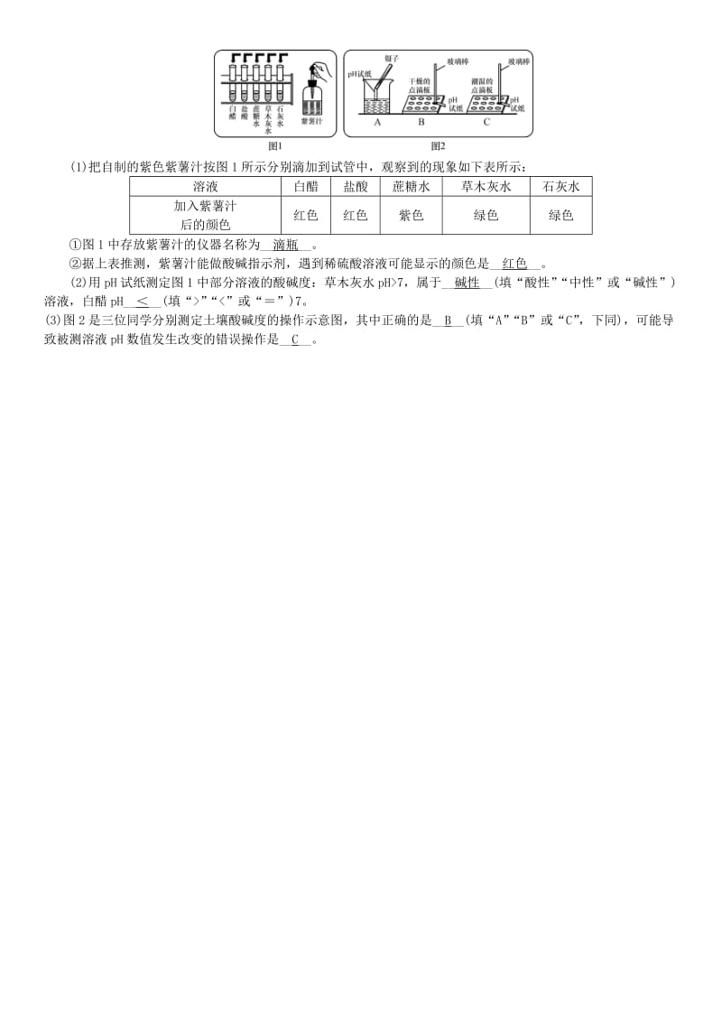 （河南专版）九年级化学下册 第十单元 酸和碱 实验活动7 溶液酸碱性的检验习题 （新版）新人教版.doc_第2页