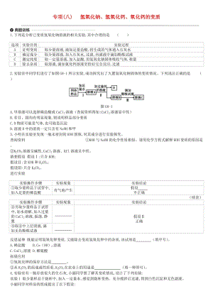 江蘇省徐州市2019年中考化學專項復習 專項（八）氫氧化鈉、氫氧化鈣、氧化鈣的變質(zhì)練習.doc