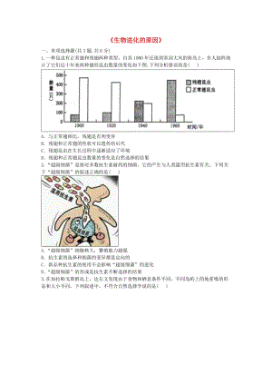 河南省永城市八年級生物下冊 7.3.3《生物進化的原因》拔高練習（新版）新人教版.doc