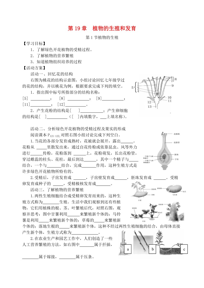 江苏省如皋市八年级生物上册 第19章 植物的生殖和发育学案（新版）苏科版.doc_第1页