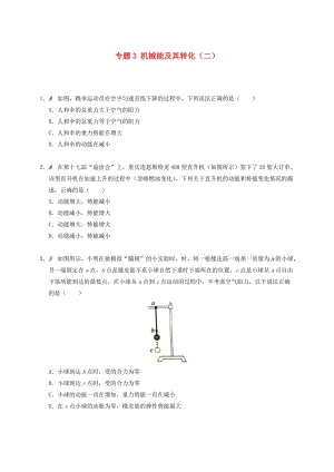 江蘇省大豐市九年級物理上冊 12.1 動能 勢能 機械能 專題3 機械能及其轉化（二）課程講義 （新版）蘇科版.doc