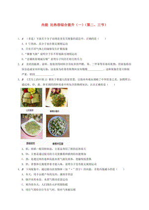 江蘇省大豐市九年級(jí)物理上冊(cè) 12.3 物質(zhì)的比熱容 內(nèi)能比熱容綜合提升課程講義1 （新版）蘇科版.doc