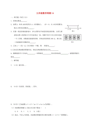 江蘇省淮安市淮陰區(qū)凌橋鄉(xiāng)九年級數(shù)學(xué)下學(xué)期周測14.doc