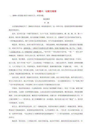 福建省2019年中考語文 專題復(fù)習(xí)六 記敘文閱讀習(xí)題2.doc