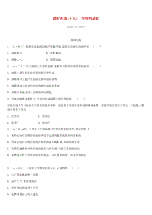 江蘇省徐州市2019年中考生物復習 第六單元 生命的延續(xù)與進化 課時訓練19 生物的進化.doc