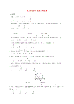 江蘇省淮安市淮陰區(qū)凌橋鄉(xiāng)九年級(jí)數(shù)學(xué)下學(xué)期復(fù)習(xí)作業(yè)23 銳角三角函數(shù).doc