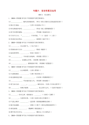 山東省泰安市2019年中考語文 專題復(fù)習(xí)六 語言積累與運用（課時1）習(xí)題2.doc