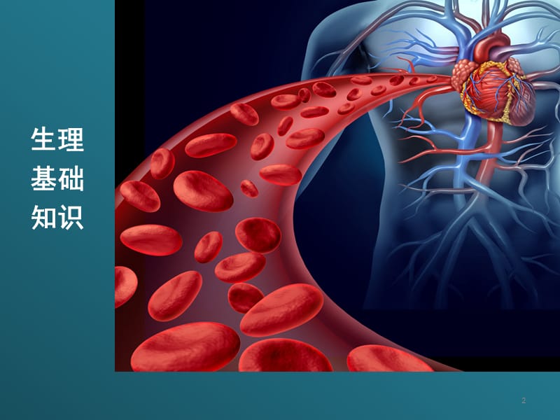 心血管系统基础知识ppt课件_第2页