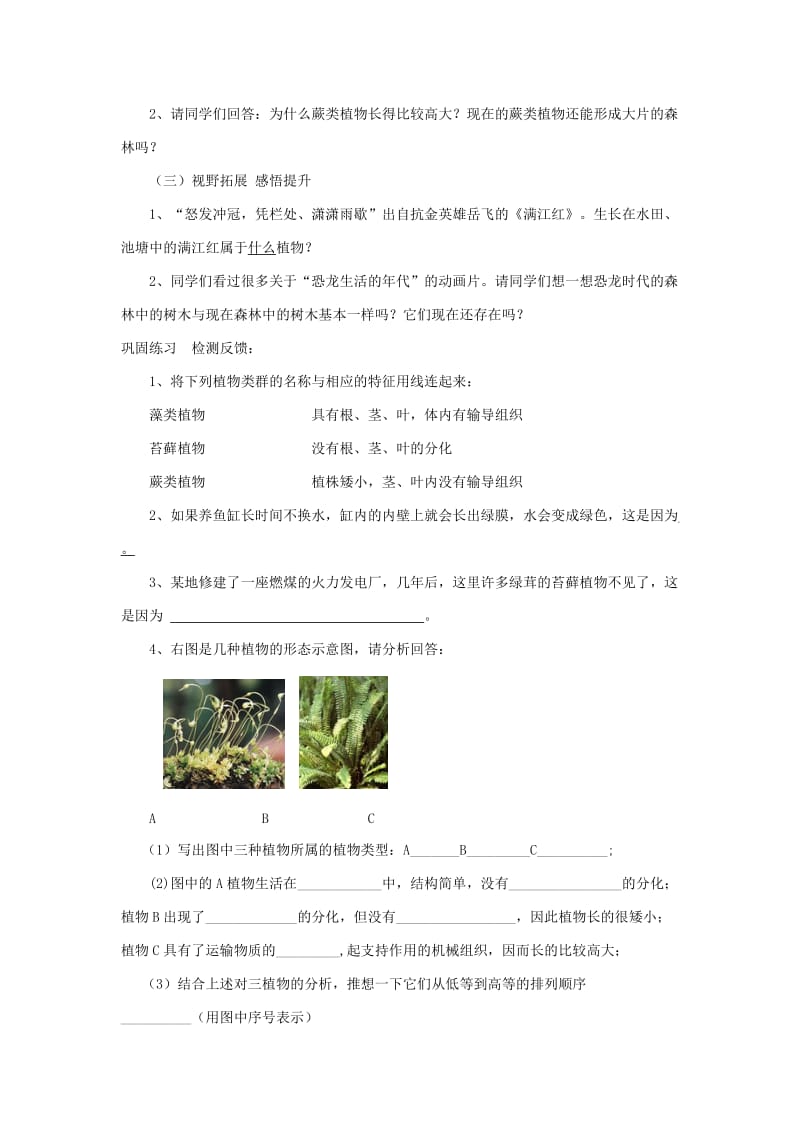 安徽省七年级生物上册 3.1.1《藻类、苔藓和蕨类植物》教案4 （新版）新人教版.doc_第3页