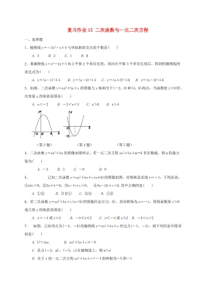 江蘇省淮安市淮陰區(qū)凌橋鄉(xiāng)九年級數(shù)學(xué)下學(xué)期復(fù)習(xí)作業(yè)15 二次函數(shù)與一元二次方程.doc