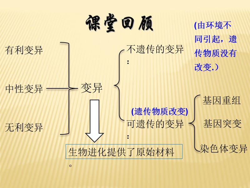 遗传病和优生_第1页