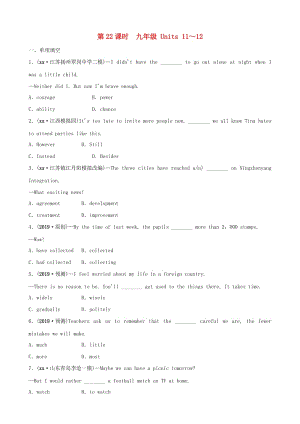 山東省臨沂市2019年中考英語(yǔ)一輪復(fù)習(xí) 第22課時(shí) 九年級(jí) Units 11-12練習(xí).doc