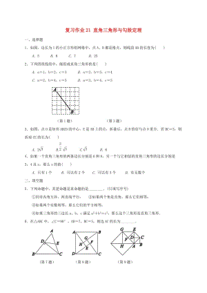 江蘇省淮安市淮陰區(qū)凌橋鄉(xiāng)九年級數(shù)學(xué)下學(xué)期復(fù)習(xí)作業(yè)21 直角三角形與勾股定理.doc