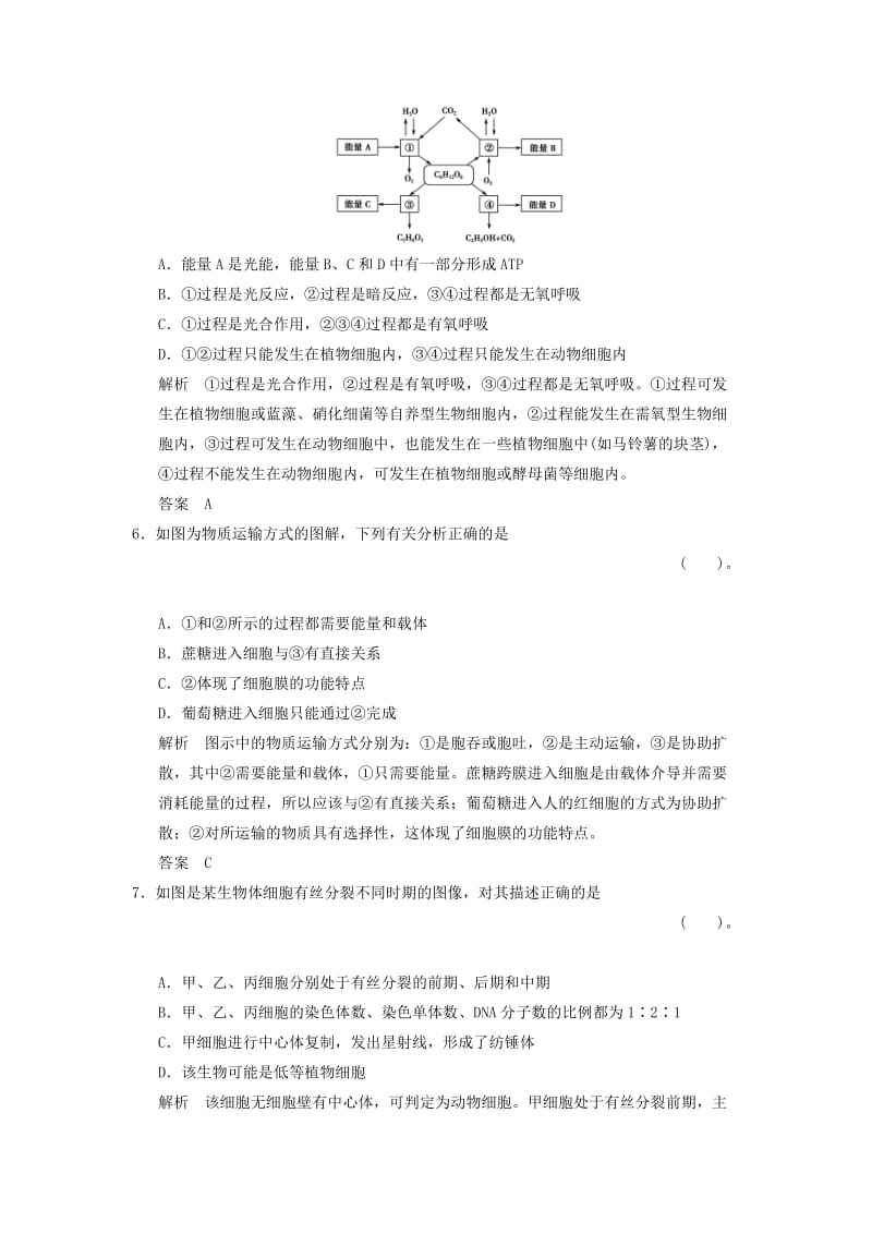 2019-2020年高考生物总复习 单元滚动检测4 中图版.doc_第3页