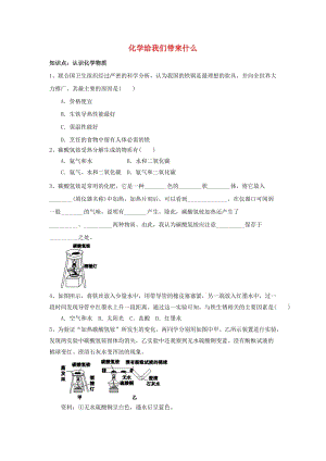 江蘇省高郵市九年級(jí)化學(xué)上冊(cè) 第1章 第1節(jié)《化學(xué)給我們帶來什么》同步測(cè)試 滬教版.doc