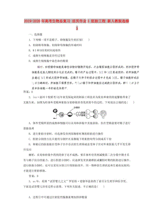 2019-2020年高考生物總復(fù)習(xí) 活頁(yè)作業(yè)3 胚胎工程 新人教版選修3.doc