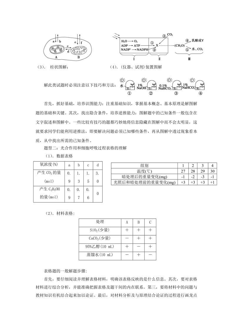 2019-2020年高考生物二轮复习 光合作用与呼吸作用教案.doc_第3页