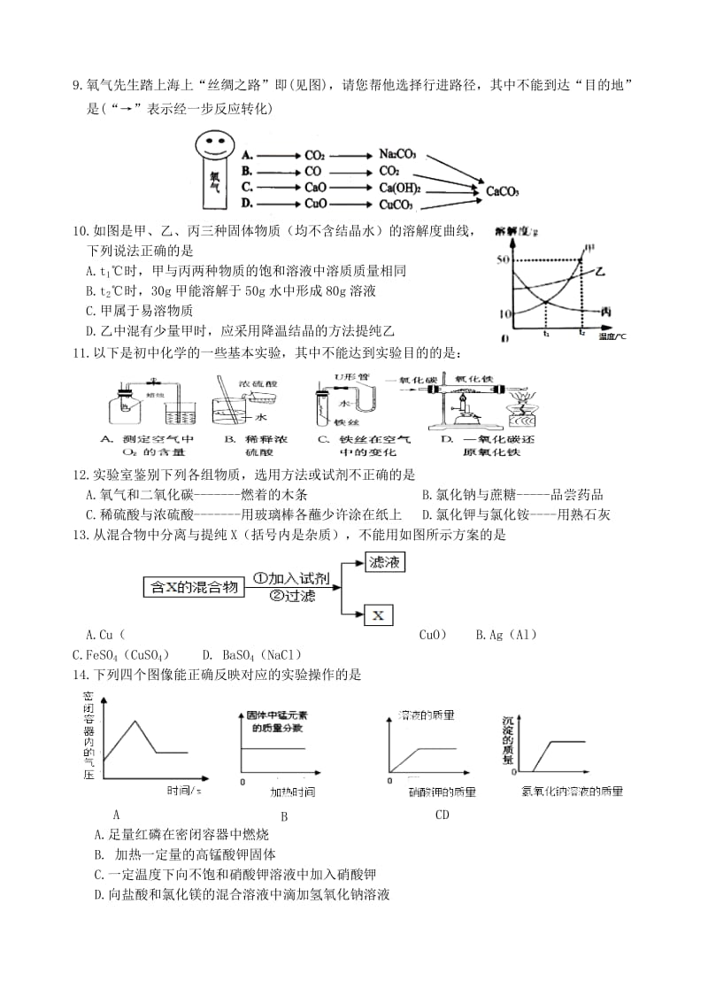 江苏省盐城市大丰市、东台市九年级化学二模联合检测试题.doc_第2页